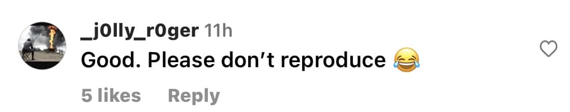 Joe Rogan's Instagram comment section (@joerogan/Instagram)