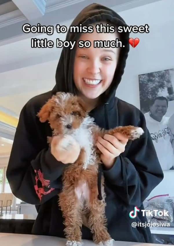 Jojo Siwa with her late puppy in a TikTok video (TikTok)