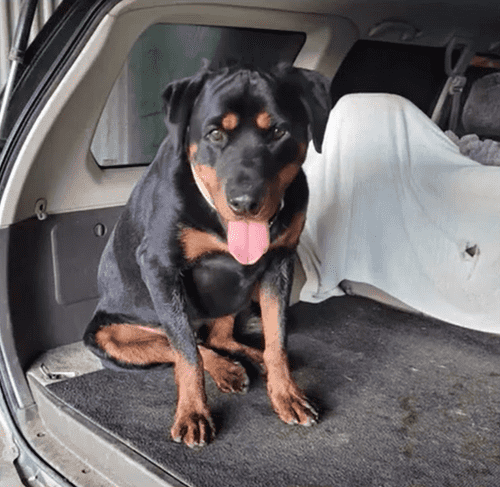 Bundy (screenshot from Channel 9)