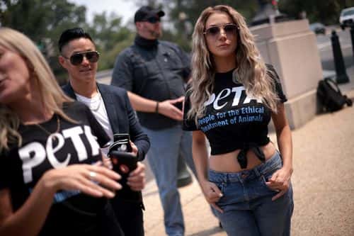 Model, singer and songwriter Courtney Stodden attends the PETA Congressional Veggie Dog Lunch with fiance Chris Sheng outside the Longworth House Office Building July 21, 2021 in Washington, DC. PETA held it’s annual lunch with an emphasis on celebrating 