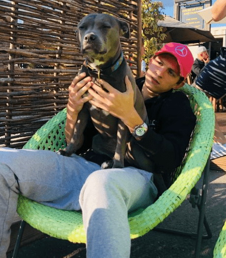 (tomholland2013/Instagram) 