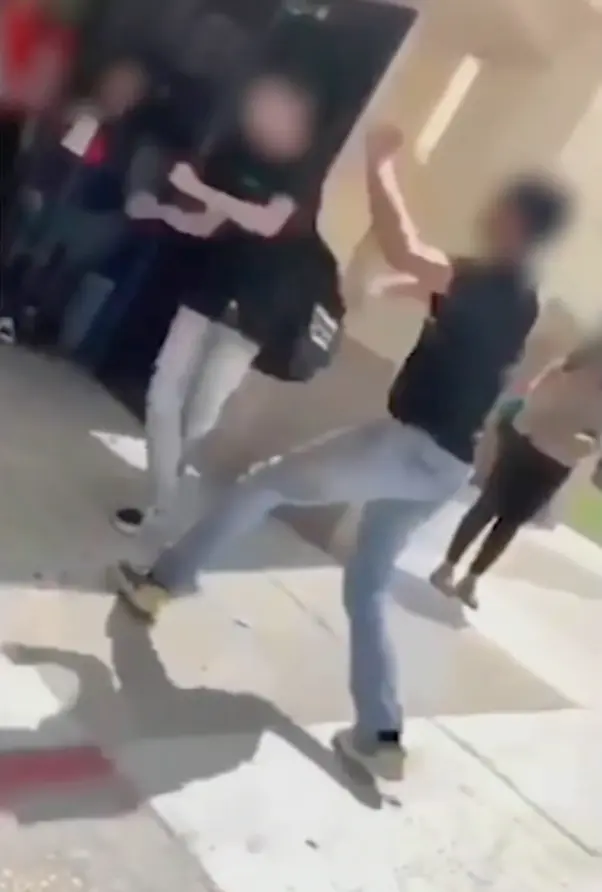 Video captured the moment Stolz was attacked and his head slammed against a pillar, leaving him with traumatic brain damage that caused his death (ABC 7/Screengrab)