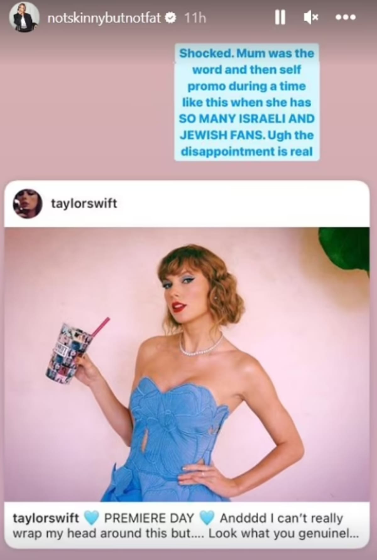 Instagram influencer called out Taylor Swift (@notskinnybutnotfat/Instagram)