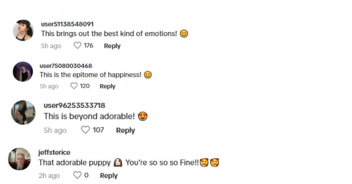 Olivia Dunne's fans show love to her new dog (livvydunne/ TikTok)