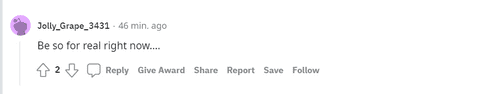 User comment on the following post (credi/Jolly_Grape_3431 Reddit)