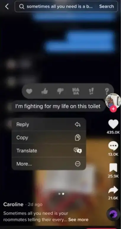 (@carol.ahem/TikTok)