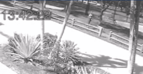 (WSAZ/ Video screengrab)