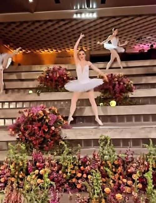 Gracie hunt showing some of the events at SuperBowl ( Instagram/ Gracie Hunt)