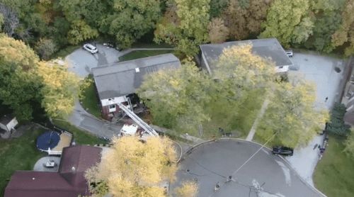 (Fox News screengrab)