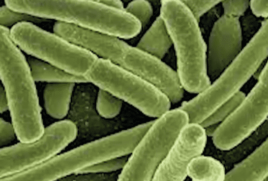 (@NBC6SouthFlorida/Youtube)