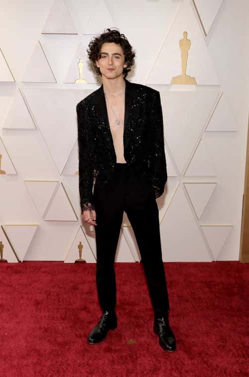 Timothée Chalamet attends the 94th Annual Academy Awards at Hollywood and Highland on March 27, 2022 in Hollywood, California.