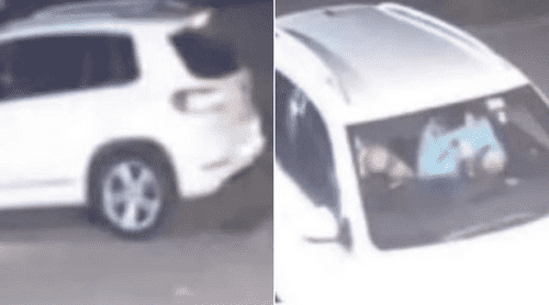 The five friends went missing on Friday. (Facebook: Lauren Doyle)