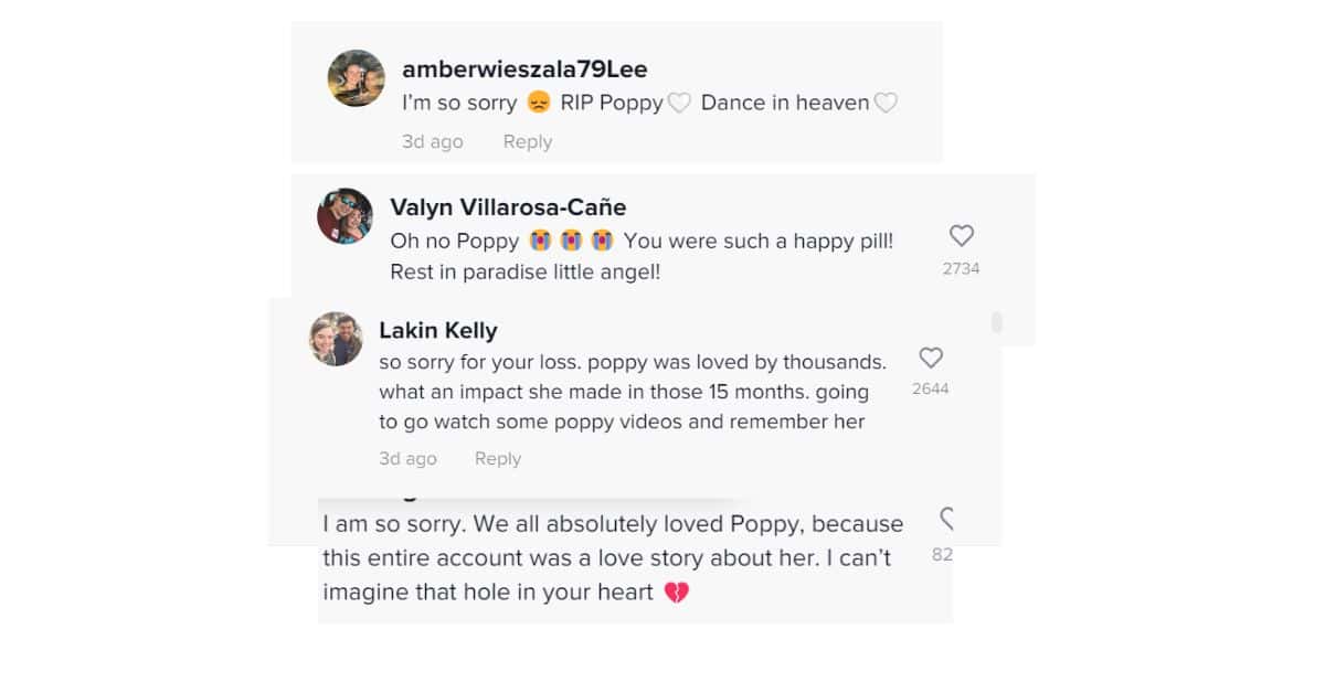 kh(@poppy_and_kaylee/TikTok)