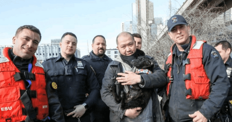 Bebe, a black pup was rescued by NYPD after breaking free from his leash (Twitter/NYPD Special Ops)