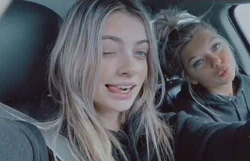 (TikTok/mafiabosscucumber)