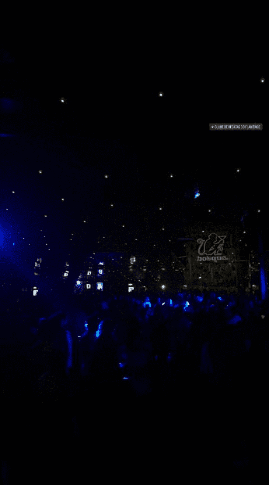 Ava snapped a few photos while clubbing in Brazil (@avamonrOe/Instagram)