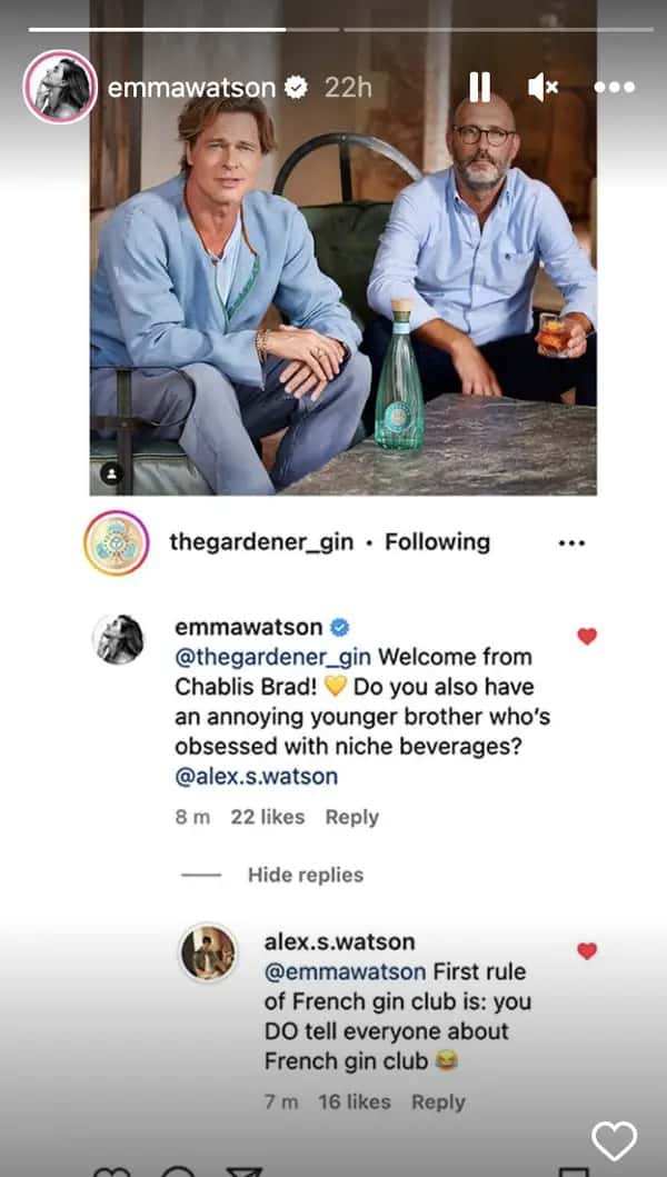 Watson then brought attention to the comments by sharing a screenshot of them beneath the photo of Pitt on her Instagram story (Emma Watson/Instagram)