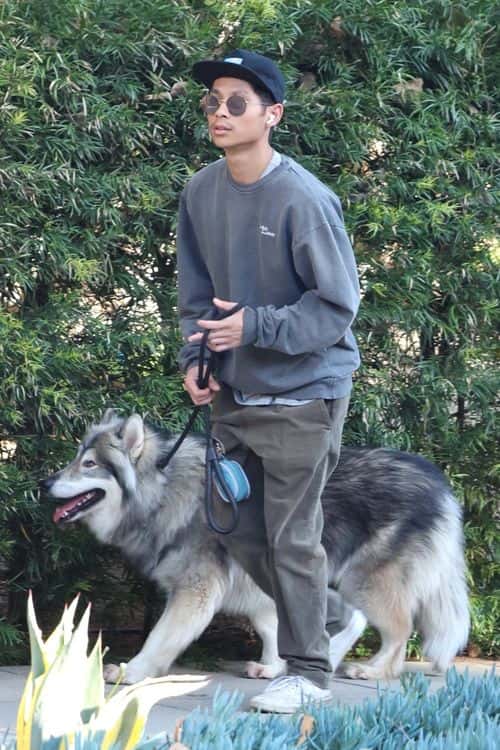 Pax Jolie-Pitt out with his dog in LA (Backgrid)