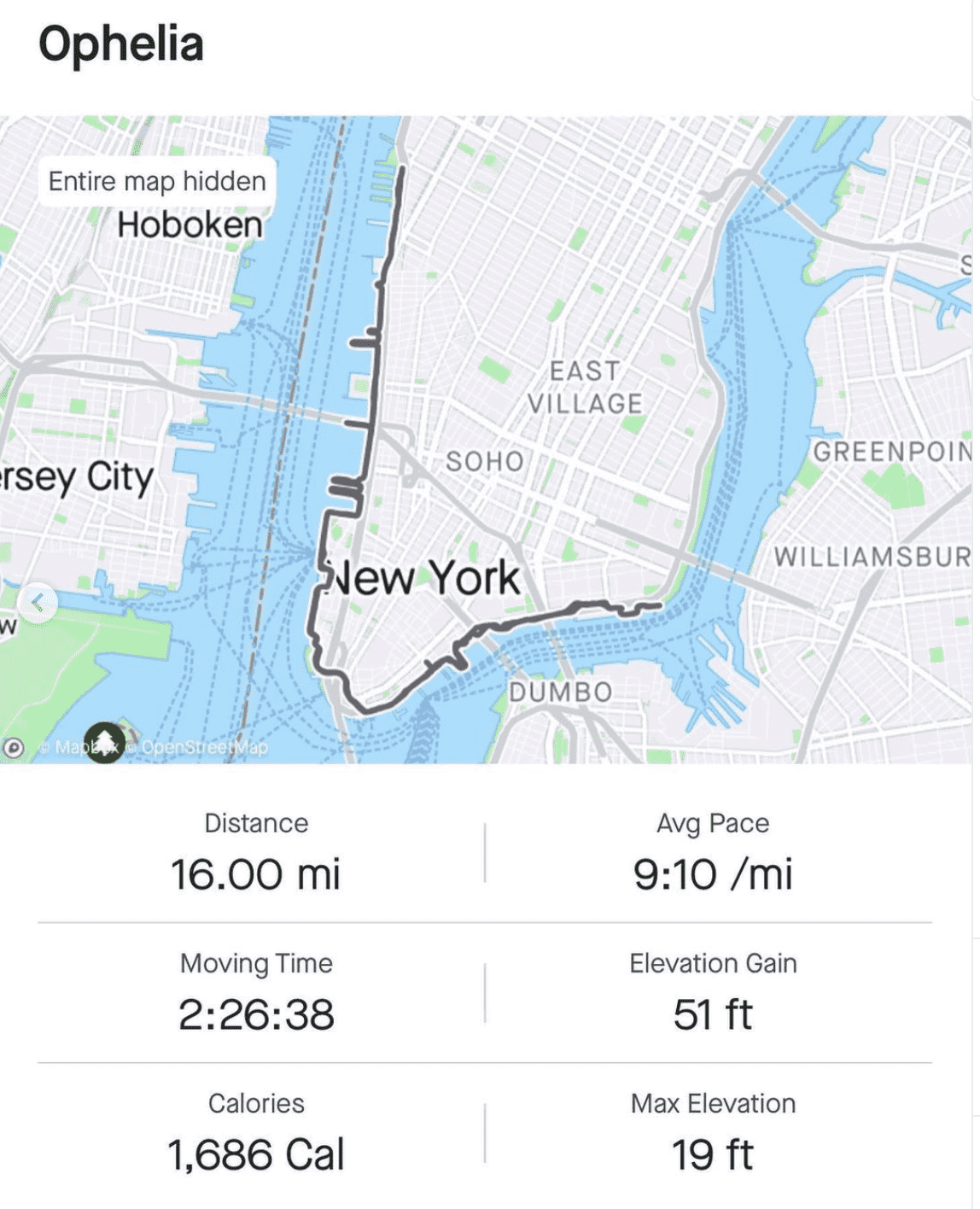 Amy Robach shared a map of her entire run in New York City (@ajrobach/Instagram)