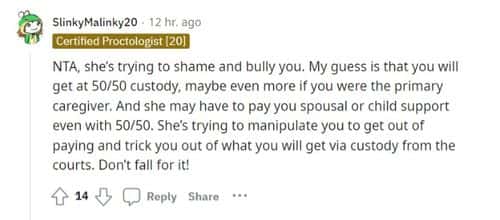 Reddit comment (Reddit)