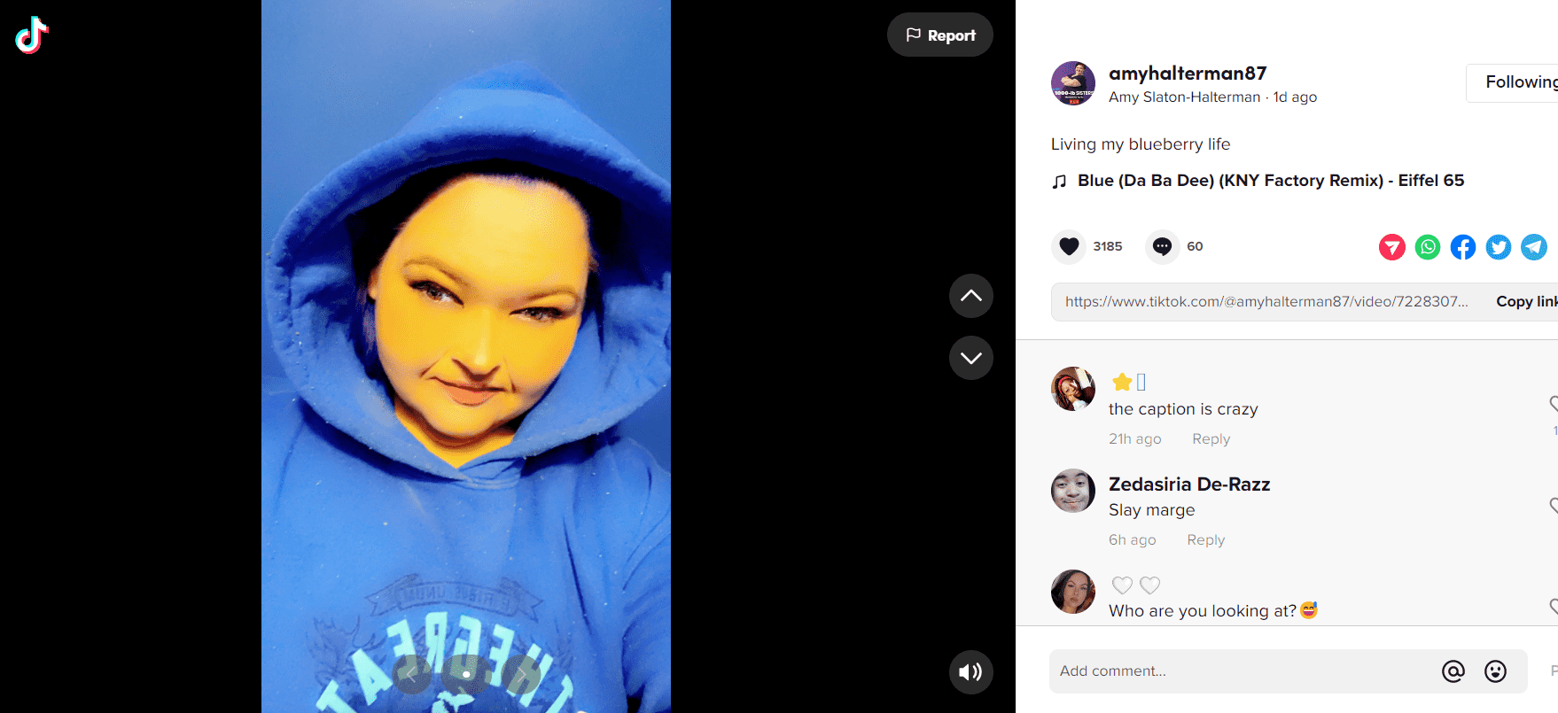 '1000-lb Sisters' star Amy Slaton wearing blue hoodie (TikTok/@amyhalterman87)