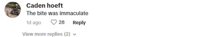 Olivia Dunne's fan reaction (livvy/ TikTok)