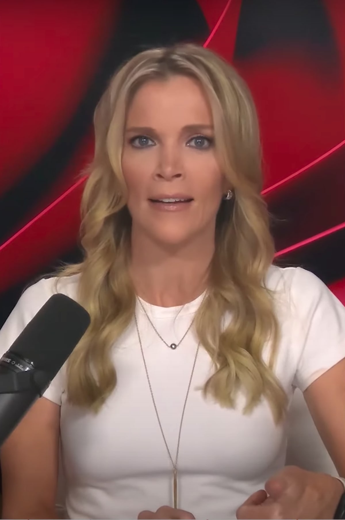 Megyn Kelly told her viewers that Americans do not need to live in fear at all (@MegynKelly/YouTube)