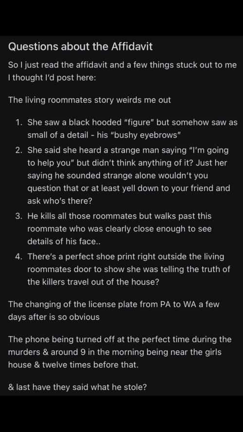 Reddit user asks striking questions based Idaho murder case released affidavit (Screenshot from Reddit)