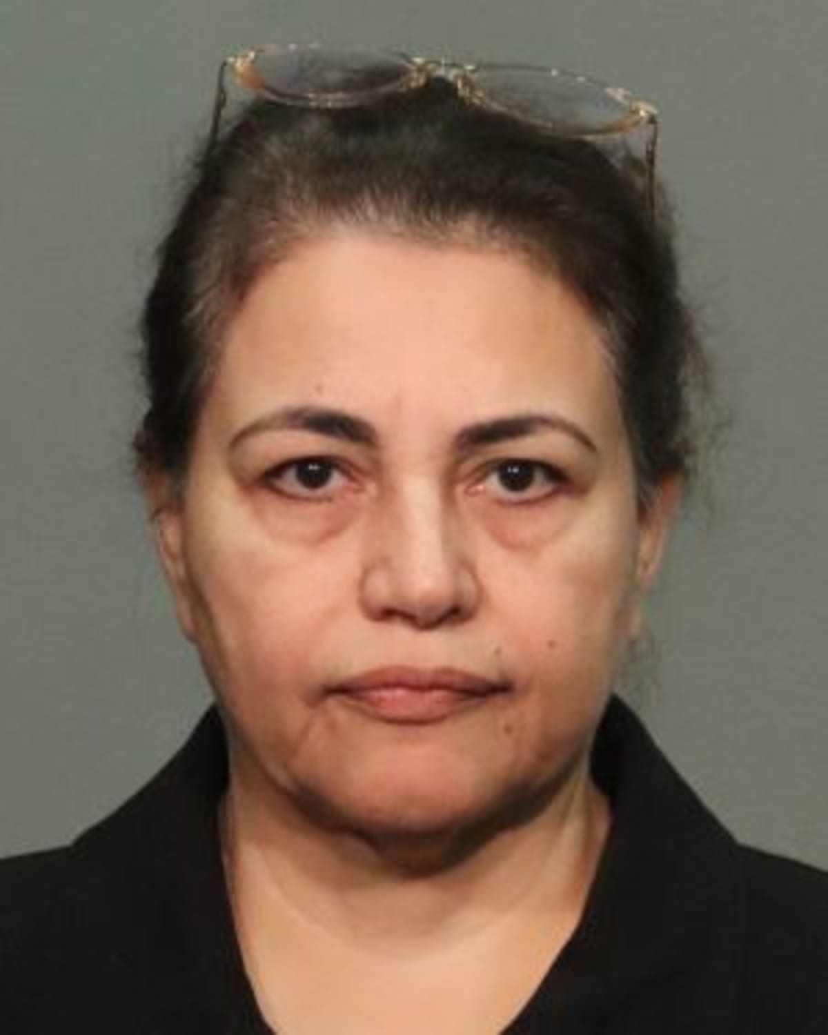 Authorities revealed that a child-safety gate had been left ajar between Sunday and Monday, leading up to the tragedy. (Mug Shot/ San Jose Police Department)