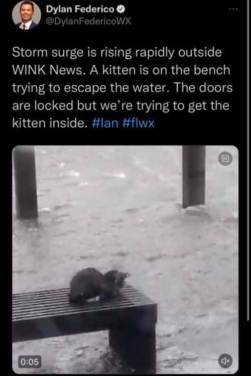 The actual tweet has been deleted (@DylanFedericoWX/Twitter)