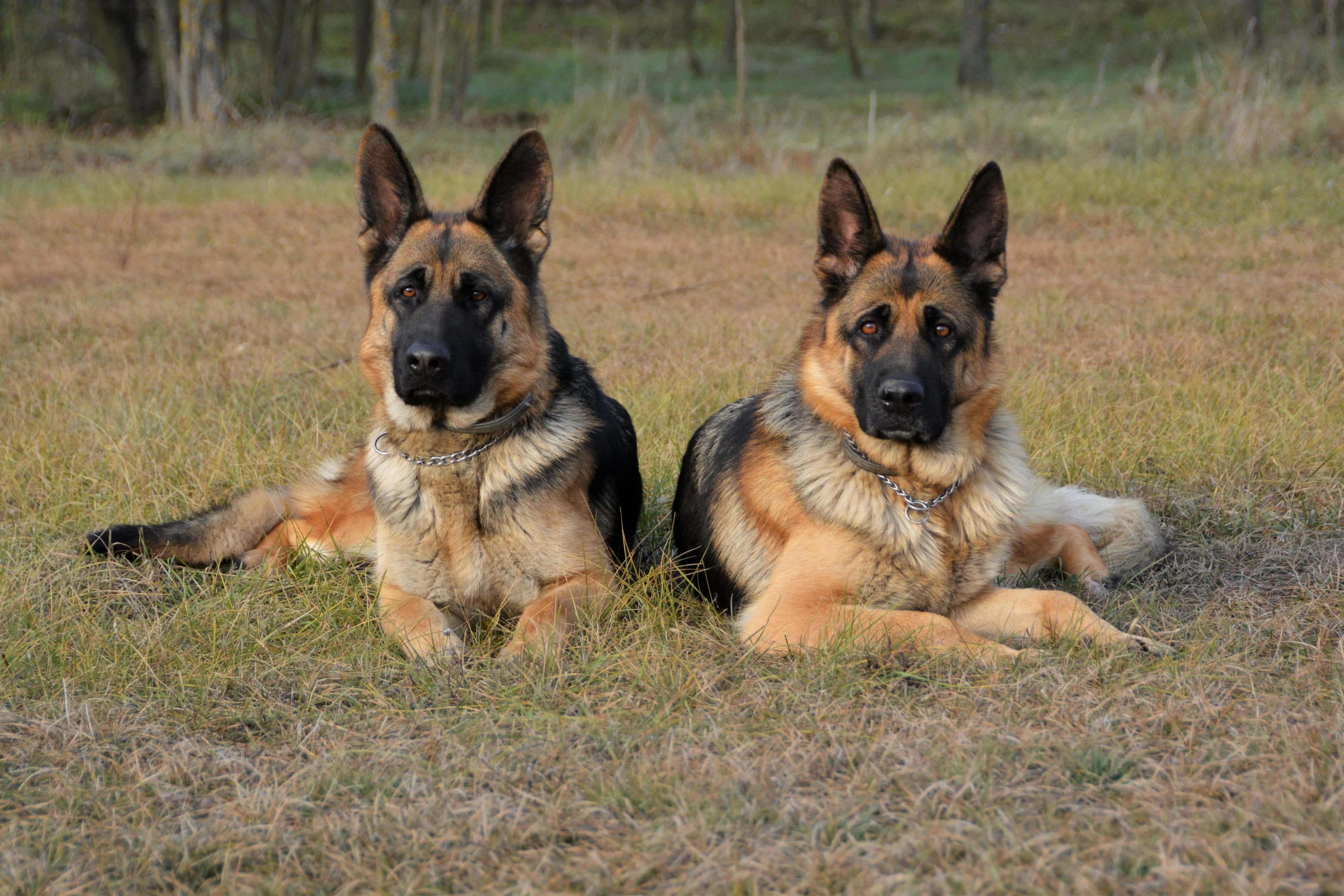 (Getty Images/Andrea Konyri / EyeEm)