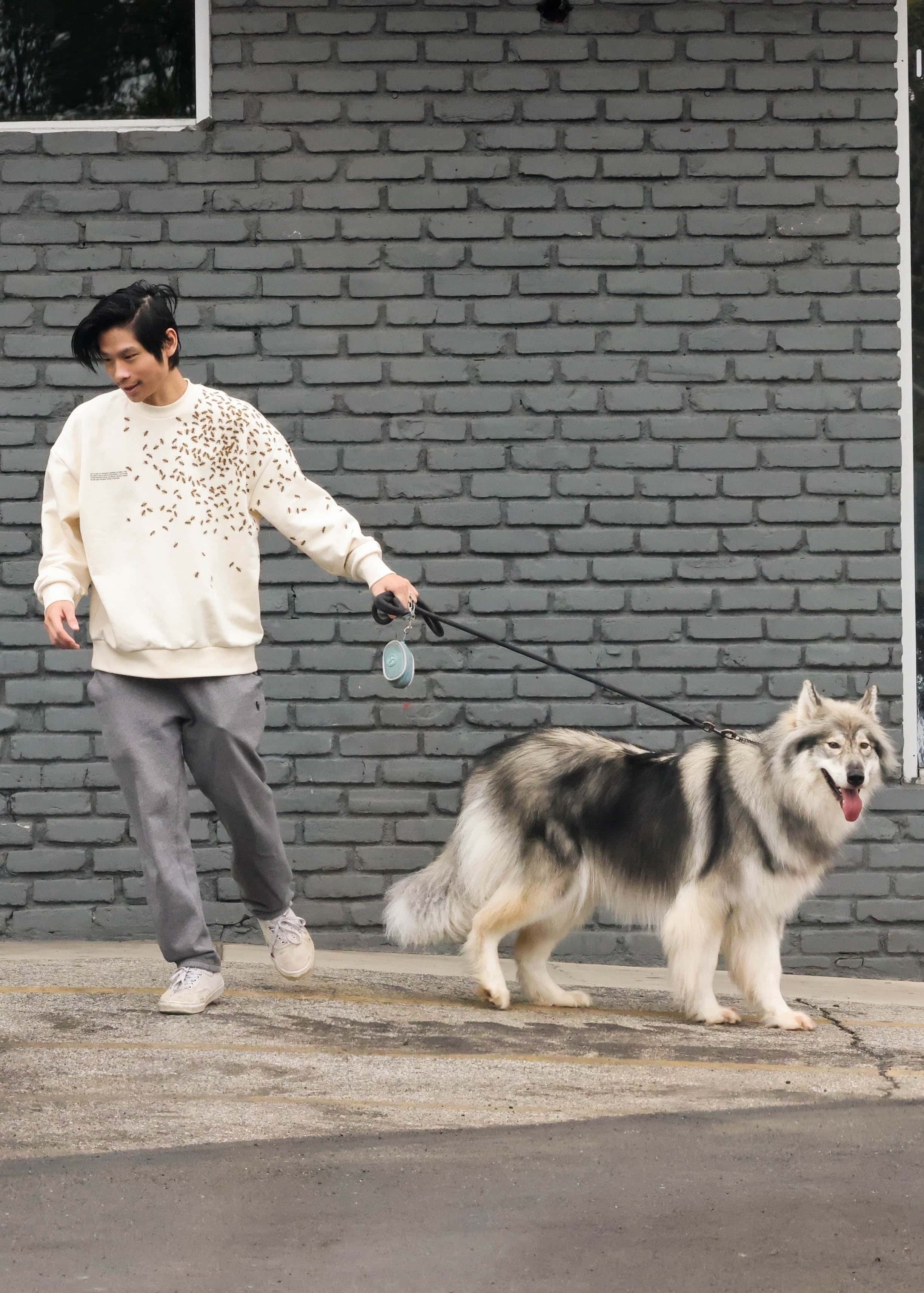 When Pax is not accompanied by his beloved furry companion, he ventures out either by himself or in the company of family and friends (Backgrid)