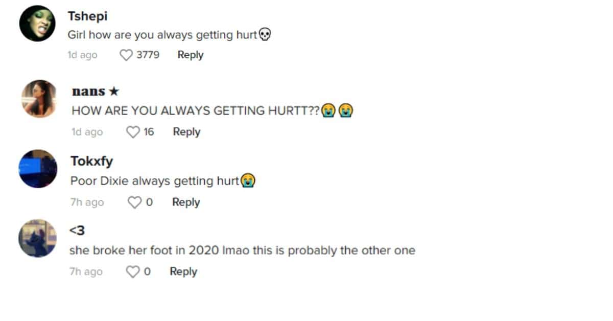 Dixie D'Amelio's comment section on TikTok (dixiedamelio/ TikTok)