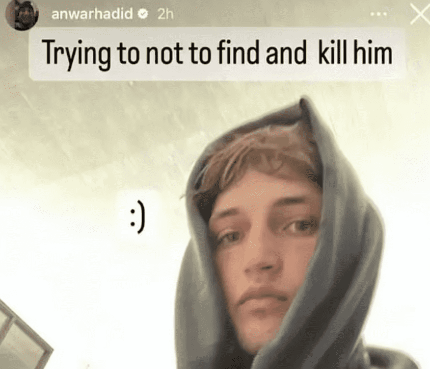 (Instagram@anwarhadid)
