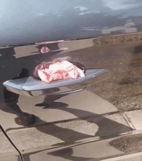 Poisoned Napkin (Erin Mims/Facebook)