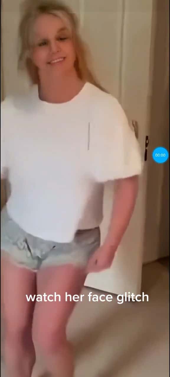 Britney Spears' fans believe that the star is missing and has been replaced by an AI (TikTok/dramapaws)