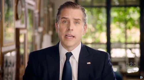 In this screenshot from the DNCC’s livestream of the 2020 Democratic National Convention, Hunter Biden, son of Democratic presidential nominee Joe Biden, addresses the virtual convention on August 20, 2020.  The convention, which was once expected to draw 50,000 people to Milwaukee, Wisconsin, is now taking place virtually due to the coronavirus pandemic.  (Photo by DNCC via Getty Images)