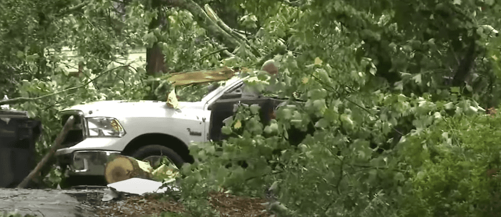 A tree uprooted and fell on top of him as he was getting out of the car 
 (foxcarolina/Youtube)