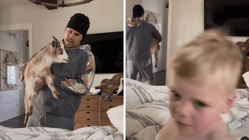 Christina Hall's son 'Hudson' had a hilarious reaction to a baby goat (Instagram/thechristinahall)