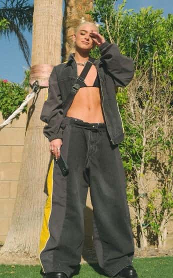 Dixie D'Amelio (@dixie/Instagram)