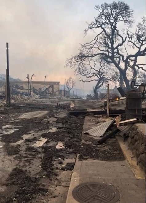 The wildfires ravaged the area (X/@jfandl325)
