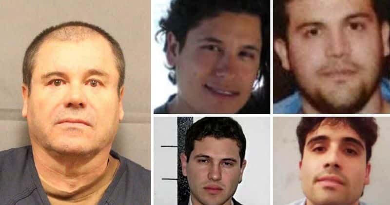 
El Chapo (L), and (clockwise from top left) Alfredo Guzman-Salazar, Joaquin Guzman-Lopez, Ovidio Guzman-Lopez, Ivan Guzman-Salazar (US State Department and Wikimedia Commons)