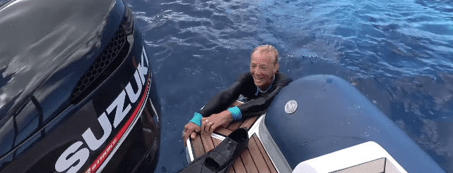 During National Geographic's annual Sharkfest event, Nan Hauser, aged 69, shared her remarkable encounter with the whale