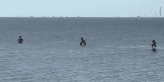 (@NBC6SouthFlorida/Youtube)