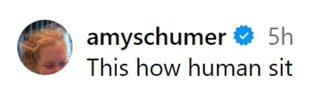 (amyschumer/Instagram)