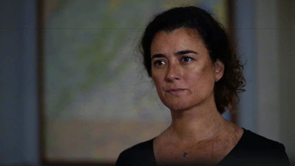 Cote de Pablo as Ziva David in 'NCIS' (CBS)