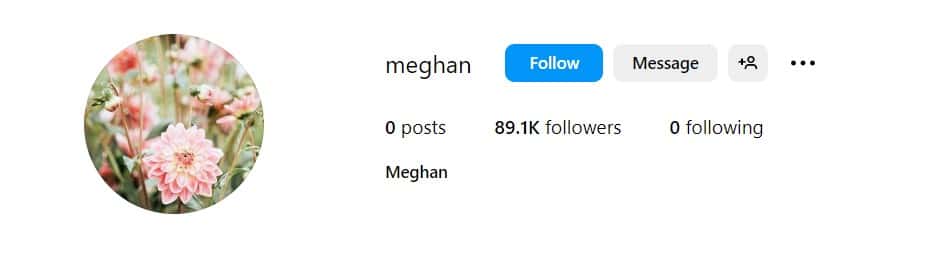 Meghan Markle's alleged account (Instagram/@meghan)