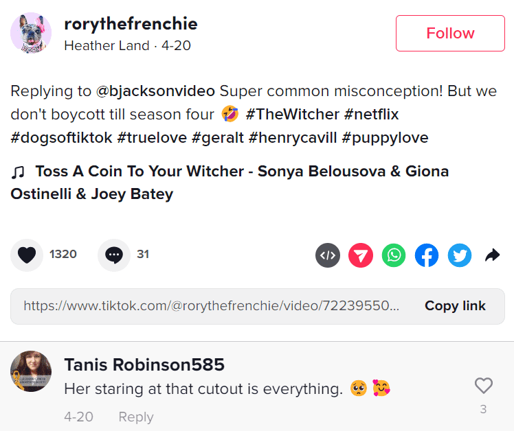 (rorythefrenchie/TikTok)