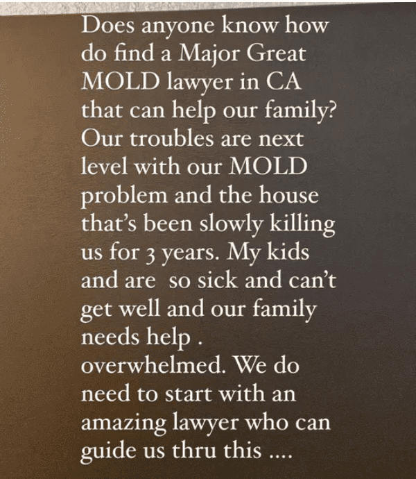 (@torispelling/Instagram)