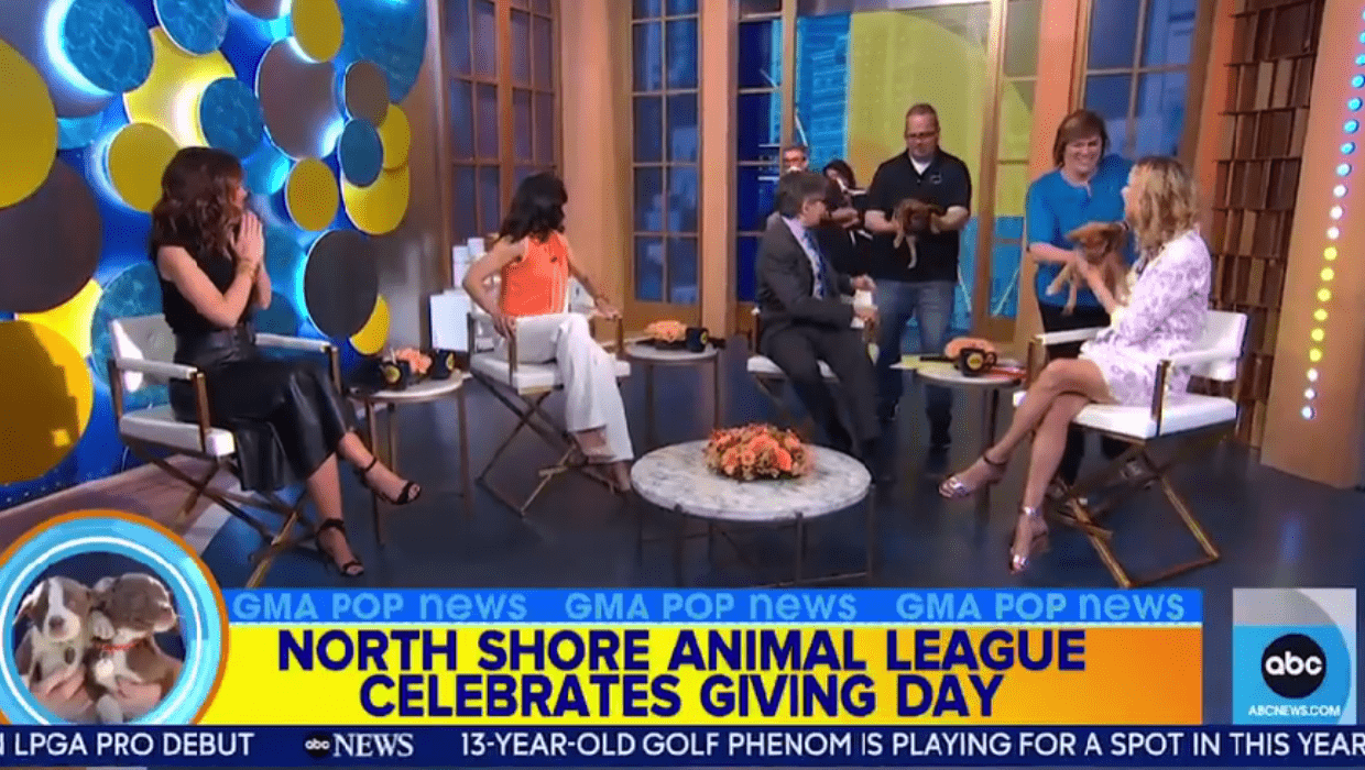 The visible absence of 'Michael Strahan' covered by 'George Stephanopoulos' , 'Lara Spencer' and canine puppies(ABC)